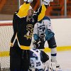 Пингвины - СА (фото с ichockey.ru)